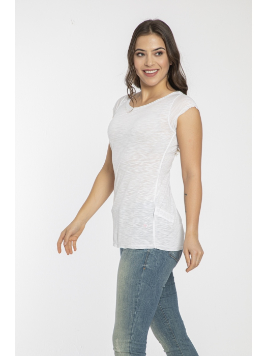 WL312025-01 (1)